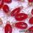 Resistant bed-bugs 'from tropics'