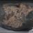 Space rock yields carbon bounty